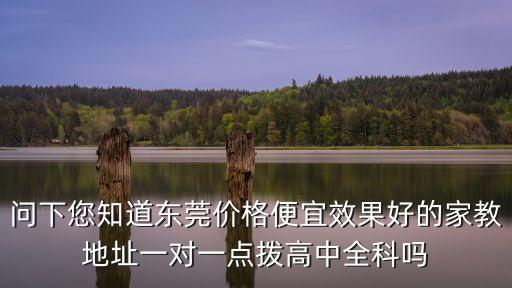 東莞親子教育中心價格，東莞地區有哪些比較好的家教一對一補課費用貴不貴