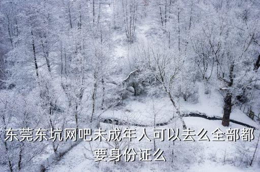 東莞東坑網(wǎng)吧未成年人可以去么全部都要身份證么