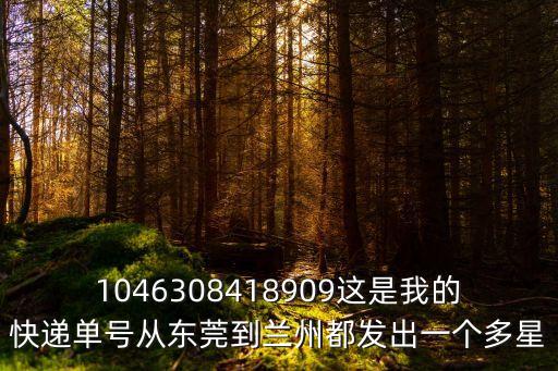 1046308418909這是我的快遞單號從東莞到蘭州都發出一個多星