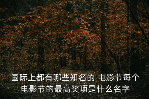  國際上都有哪些知名的 電影節(jié)每個(gè) 電影節(jié)的最高獎(jiǎng)項(xiàng)是什么名字