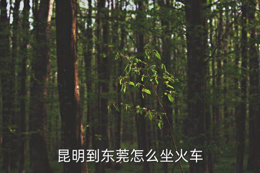 昆明到東莞怎么坐火車