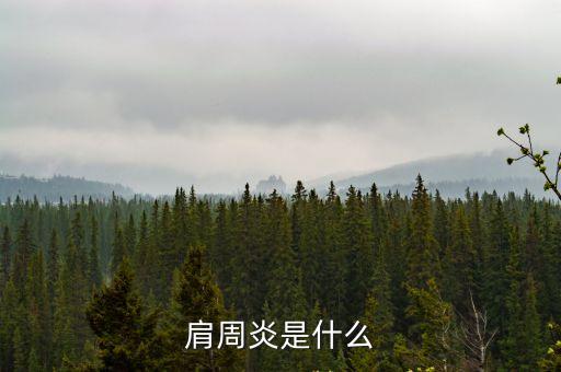 肩周炎，肩周炎