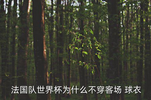  法國隊世界杯為什么不穿客場 球衣