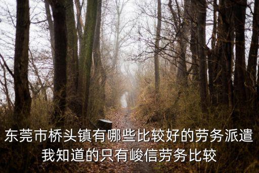 東莞市橋頭鎮(zhèn)有哪些比較好的勞務(wù)派遣我知道的只有峻信勞務(wù)比較
