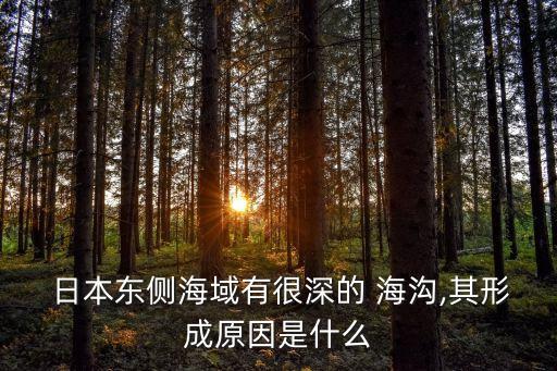  日本東側海域有很深的 海溝,其形成原因是什么