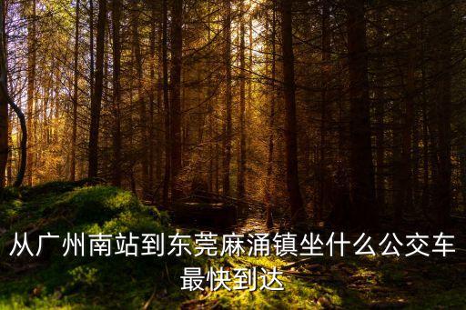 從廣州南站到東莞麻涌鎮(zhèn)坐什么公交車最快到達