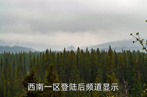 西南一區(qū)登陸后頻道顯示