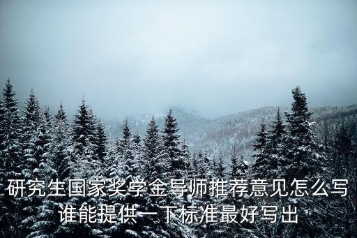 獎學金導師推薦意見，國家獎學金老師意見怎么寫