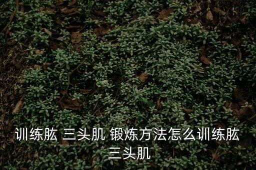 三頭肌鍛煉方法,這些健身動(dòng)作你必須學(xué)的