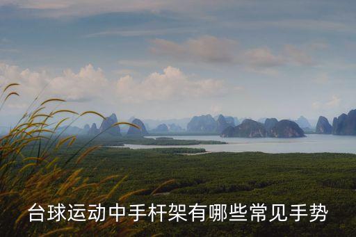 打臺球手勢，臺球運(yùn)動中手桿架有哪些常見手勢