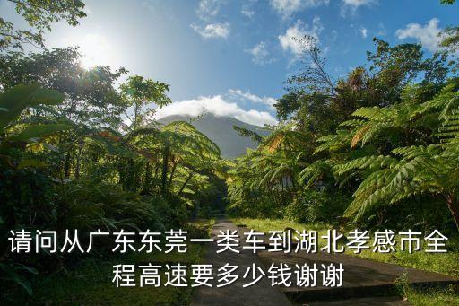 請問從廣東東莞一類車到湖北孝感市全程高速要多少錢謝謝