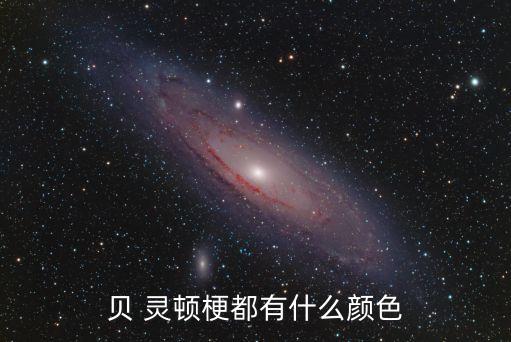 貝靈頓梗,若貝類靈頓梗有咬人傾向主人需首時間進行訓(xùn)斥