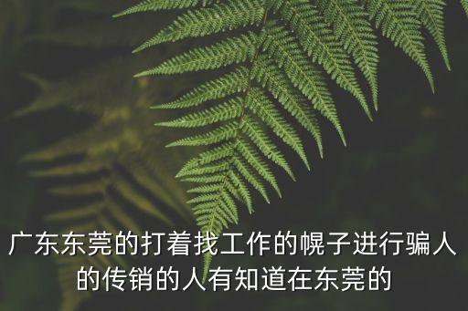 東莞縱橫八方新能源，廣東省東莞市南城區袁屋邊莞太路華源大廈六樓是真的嗎