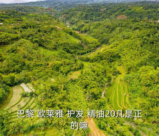 歐萊雅護發精油,護發精油知多少?