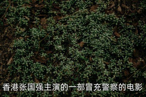 香港張國強主演的一部冒充警察的電影