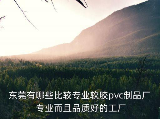 東莞有哪些比較專業軟膠pvc制品廠 專業而且品質好的工廠