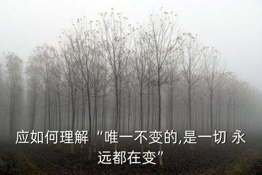 應如何理解“唯一不變的,是一切 永遠都在變”