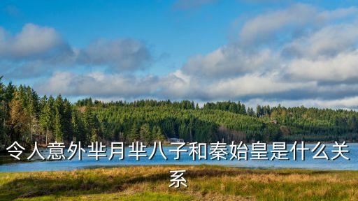 羋八子和秦始皇的關系，令人意外羋月羋八子和秦始皇是什么關系