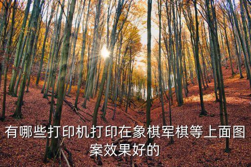 有哪些打印機打印在象棋軍棋等上面圖案效果好的