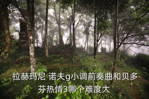  拉赫瑪尼 諾夫g小調(diào)前奏曲和貝多芬熱情3哪個難度大