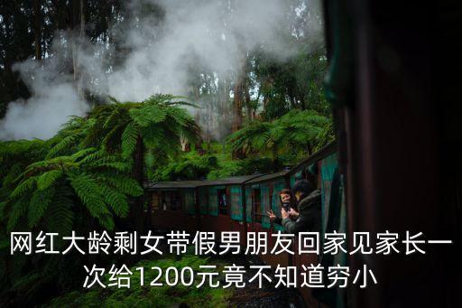 網紅大齡剩女帶假男朋友回家見家長一次給1200元竟不知道窮小