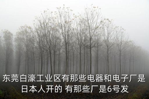 東莞白濠工業區有那些電器和電子廠是日本人開的 有那些廠是6號發