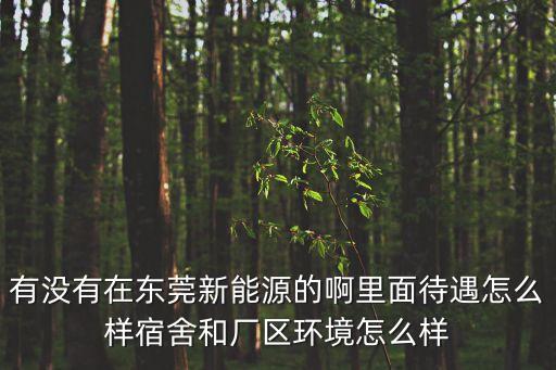 有沒有在東莞新能源的啊里面待遇怎么樣宿舍和廠區環境怎么樣