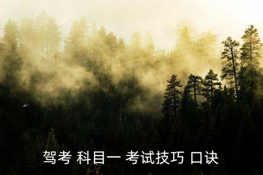 駕考 科目一 考試技巧 口訣