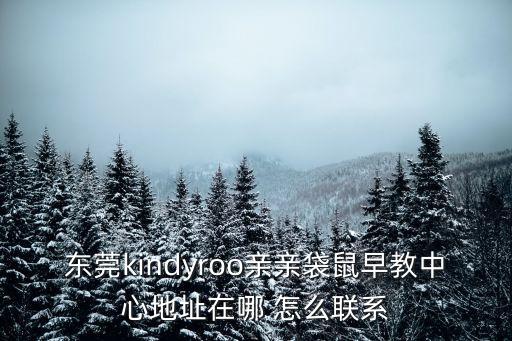 東莞kindyroo親親袋鼠早教中心地址在哪 怎么聯系