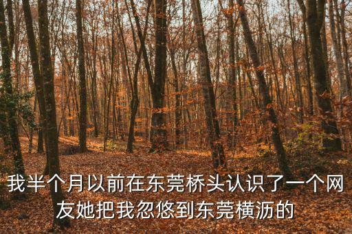 我半個月以前在東莞橋頭認識了一個網友她把我忽悠到東莞橫瀝的