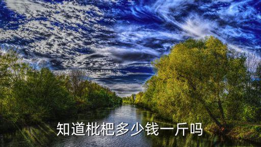 知道枇杷多少錢一斤嗎