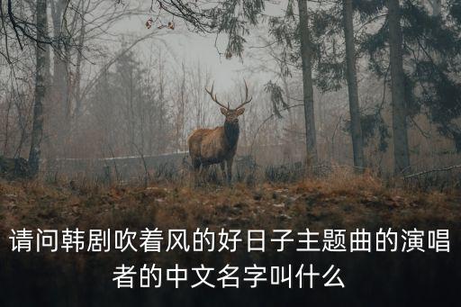 請問韓劇吹著風的好日子主題曲的演唱者的中文名字叫什么