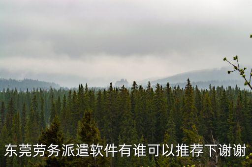 東莞勞務(wù)派遣軟件有誰可以推薦下謝謝