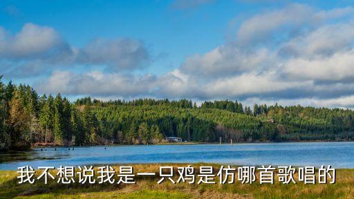 我不想說我是只雞，我不想說我是一只雞是仿哪首歌唱的