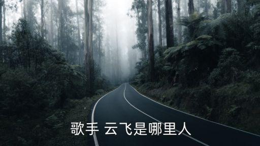 歌手云飛,歌手云飛正式進軍娛樂圈發行首張專輯