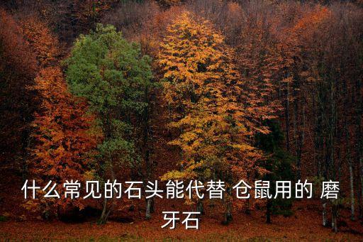 自制倉鼠磨牙棒,籠鼠咬食物順便磨牙!