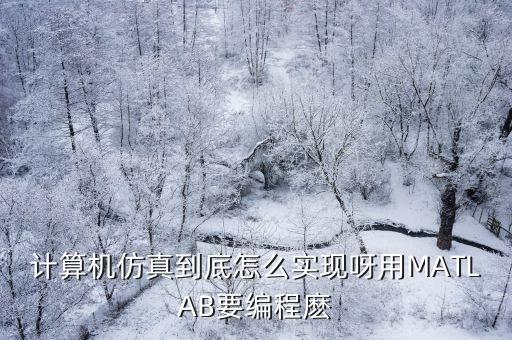 計算機仿真到底怎么實現呀用MATLAB要編程麼