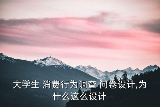 大學生 消費行為調查 問卷設計,為什么這么設計