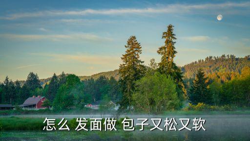 如何做包子發面,面團發酵時注意什么問題?一文看懂