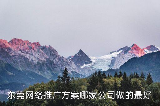 東莞網站推廣微辛hfqjwl下拉，東莞網絡推廣方案哪家公司做的最好