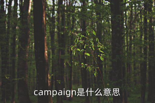 campaign是什么意思