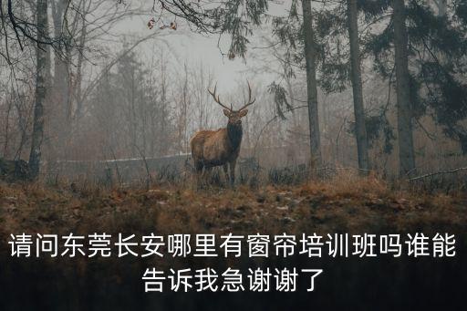 東莞有窗簾培訓，東莞何處的窗簾培訓專業嗎專業的窗簾培訓哪里好