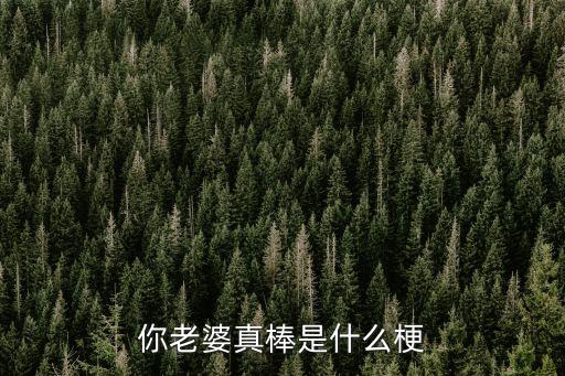 蕾姆頭像,《你的妻子很棒》火了網民熱情回應:不是女王!