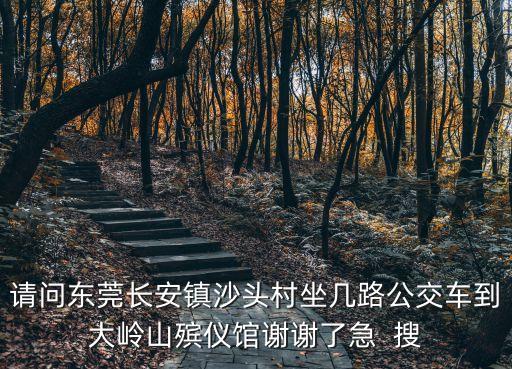 請(qǐng)問(wèn)東莞長(zhǎng)安鎮(zhèn)沙頭村坐幾路公交車(chē)到大嶺山殯儀館謝謝了急  搜