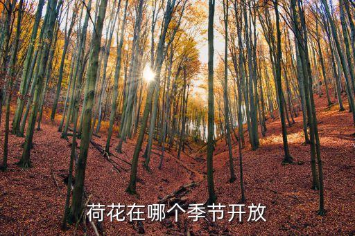 荷花花期，荷花在什么季節(jié)什么時(shí)候開(kāi)