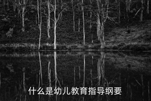 幼兒教育指導(dǎo)綱要，幼兒園教育指導(dǎo)綱要