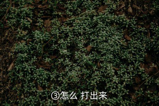 怎么打出,如何使用搜狗輸入法?