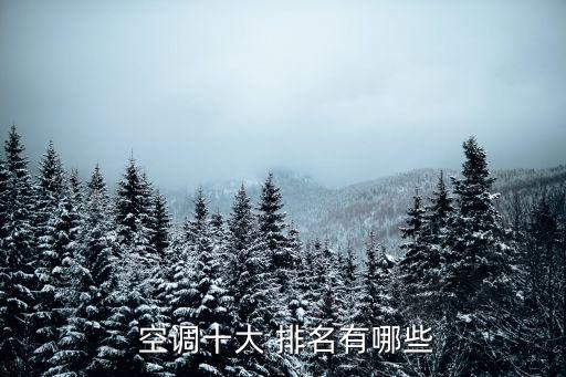  空調(diào)十大 排名有哪些
