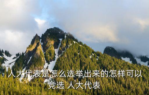人大代表選舉法,中國:縣鄉兩級人大代表由選區選民直接選舉