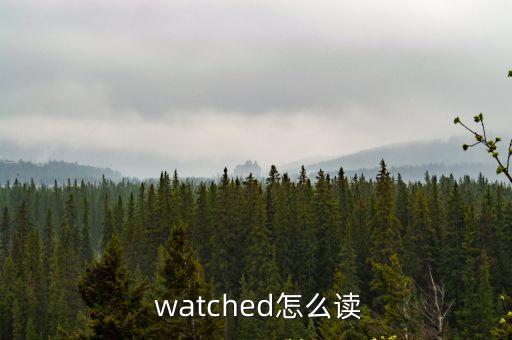 watch怎么讀,警察用watch引申為照顧、守衛(wèi)、保衛(wèi)